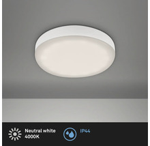 LED Einbauleuchte Plat Kunststoff 1 x 3 W 350 lm weiss Ø 68 mm