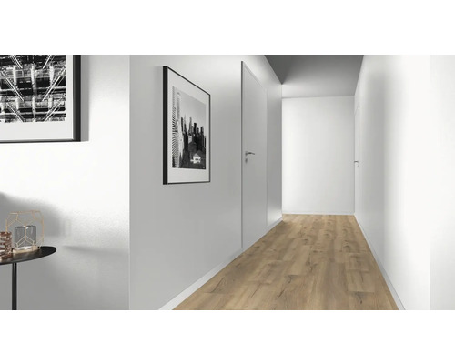 Couloir lumineux avec sol stratifié, portes et tableaux muraux