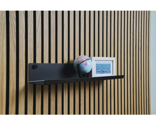 Panneau mural avec étagère, globe et photo