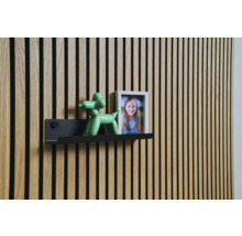 Panneau mural avec étagère, figurine de chien ballon et cadre photo