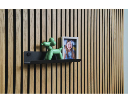 Panneau mural avec étagère, figurine de chien ballon et cadre photo