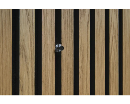 Panneau acoustique avec vis de fixation