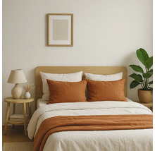 Chambre avec lit, table de chevet et plante d''intérieur pour une ambiance claire et conviviale.