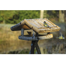 Nichoir en bois avec des oiseaux