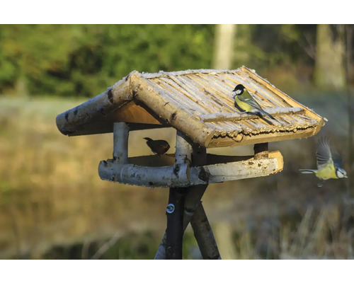 Vogelhaus aus Holz mit Vögeln