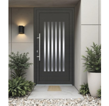 Moderne Haustür mit Glaseinsätzen, Griff und seitlichen Pflanzen