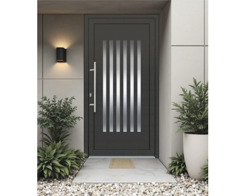 Moderne Haustür mit Glaseinsätzen, Griff und seitlichen Pflanzen