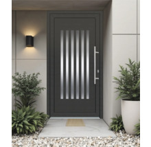 Moderne Haustür mit Glaseinsätzen und Edelstahlgriff