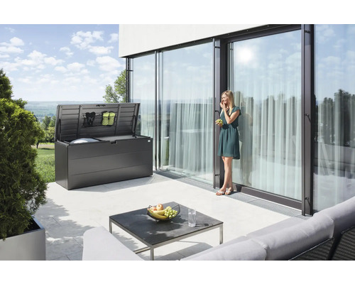 Boîte de rangement StyleBox taille 170 Biohort 684 l 170 x 70 x 81 cm gris foncé métallique Boîte de rangement StyleBox taille 170 Biohort 684 l 170 x 70 x 81 cm gris foncé métallique