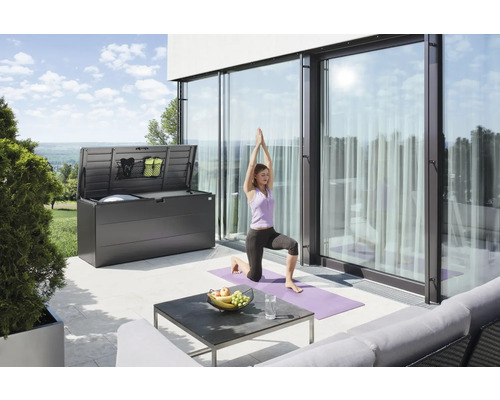 Boîte de rangement StyleBox taille 210 Biohort 973 l 207 x 80 x 81 cm gris foncé métallique Boîte de rangement StyleBox taille 210 Biohort 973 l 207 x 80 x 81 cm gris foncé métallique