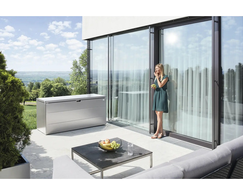 Boîte de rangement StyleBox taille 210 Biohort 987 l 207 x 80 x 81 cm argent métallique Boîte de rangement StyleBox taille 210 Biohort 987 l 207 x 80 x 81 cm argent métallique