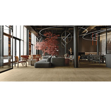 Photo intérieure d''un salon moderne avec parquet, canapés et fauteuils
