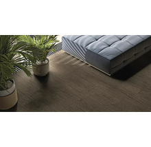 Vue d''une pièce avec parquet, canapé et plantes d''intérieur.