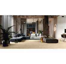 Salon avec canapé, fauteuil, plantes d''intérieur et éclairage indirect