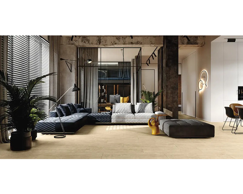 Salon avec canapé, fauteuil, plantes d''intérieur et éclairage indirect