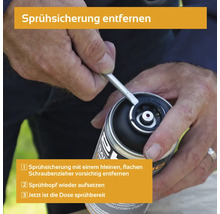Entfernen der Sprühsicherung mit einem Schraubenzieher
