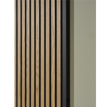 Gros plan d'un panneau mural en bois avec structure à lattes et isolation phonique