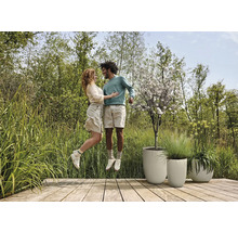 Szene mit Paar auf Holzterrasse neben strukturierten Pflanzgefäßen und Garten