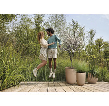Un couple saute sur une terrasse en bois avec des pots de fleurs dans un jardin.