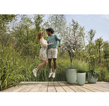 Un couple saute sur une terrasse en bois à côté de trois jardinières plantées.