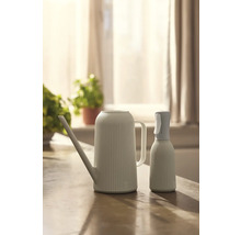 Arrosoir et vaporisateur pour plantes sur une table.