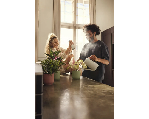 Couple arrosant et vaporisant des plantes d''intérieur en pot