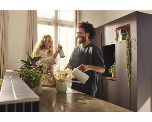 Couple riant arrosant des plantes d''intérieur avec un arrosoir et un vaporisateur dans une pièce lumineuse