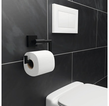 Distributeur de papier toilette en métal, chasse d''eau et toilettes dans la salle de bain