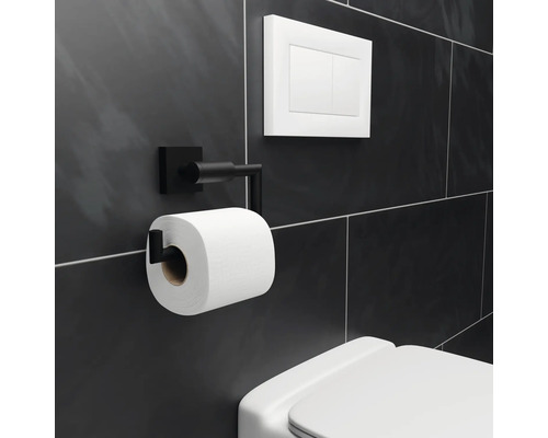 Distributeur de papier toilette en métal, chasse d''eau et toilettes dans la salle de bain