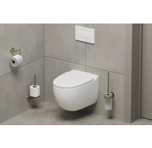WC suspendu avec porte-papier toilette, brosse de toilette et plaque de commande dans une salle de bains moderne