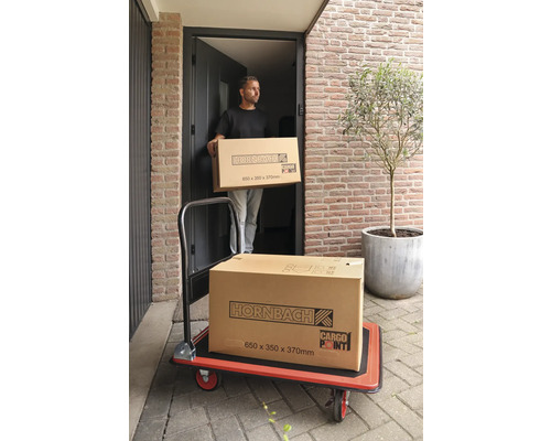 Un homme transporte un colis Hornbach sur une planche à roulettes