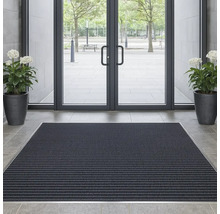 Zone d''entrée avec paillasson, plantes en pot et porte en verre