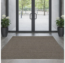 Zone d''entrée avec paillasson, porte et plantes en pot