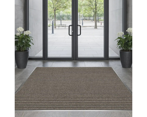Zone d''entrée avec paillasson, porte et plantes en pot