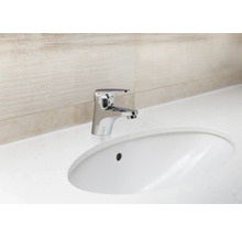 Un mitigeur monocommande en métal est placé sur un lavabo.
