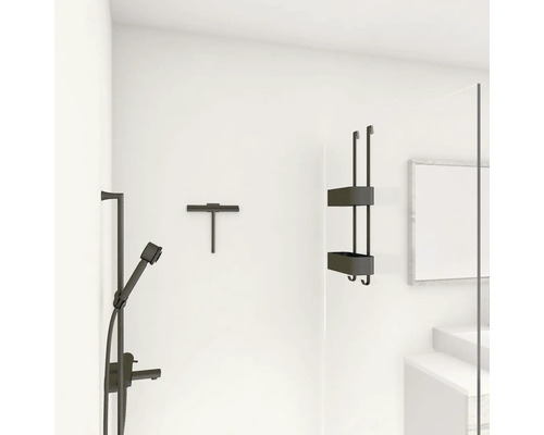Salle de bains avec robinetterie de douche, raclette et étagère de douche