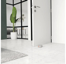 Vue de pièce moderne avec porte, plante d''intérieur et butée de porte