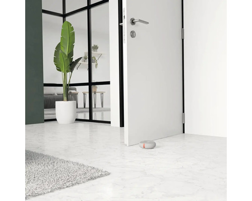 Moderne Raumansicht mit Tür, Zimmerpflanze und Türstopper