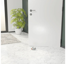 Photo d''intérieur avec porte, plante d''intérieur, tapis et butée de porte ronde en béton