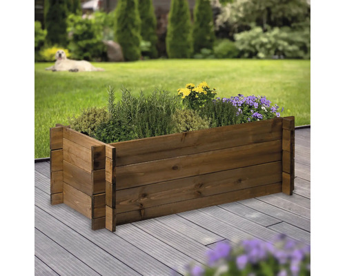Jardinière surélevée en bois plantée d''herbes et de fleurs
