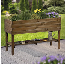 Hochbeet aus Holz mit Ablagefläche und Pflanzen