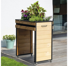 Pflanzkasten aus Holz mit Rollen und Pflanzen