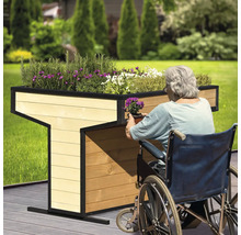 Jardinière surélevée en bois accessible aux fauteuils roulants avec plantation dans le jardin.