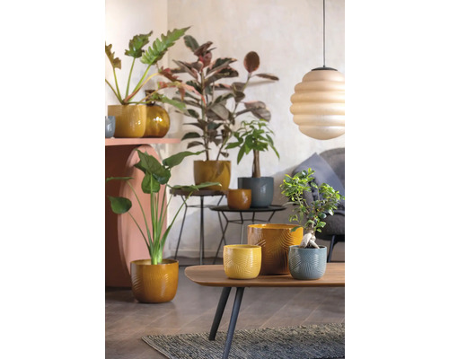 Décoration intérieure décorative avec diverses plantes d''intérieur dans des jardinières sur des tables