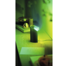 Dekorative Tischleuchte auf einem Tisch
