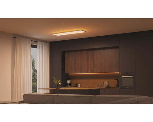 Salon moderne avec plafonnier et kitchenette sombre