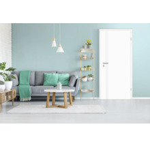 Wohnzimmer mit Sofa, Tisch, Regal und Innentür