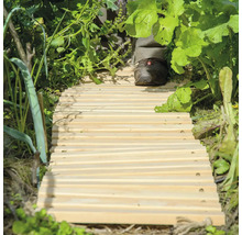 Chemin de jardin en bois avec une personne dessus dans un jardin