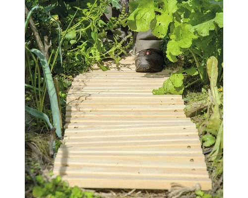 Chemin de jardin en bois avec une personne dessus dans un jardin