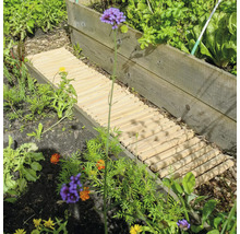 Jardin avec plate-bande surélevée et chemin en bois